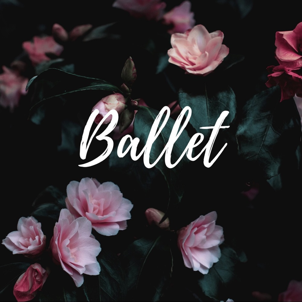 Ballet items! - Picture 2 of 2
